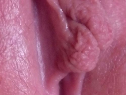 gata2512