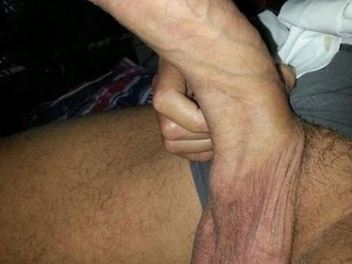 Hcs_11