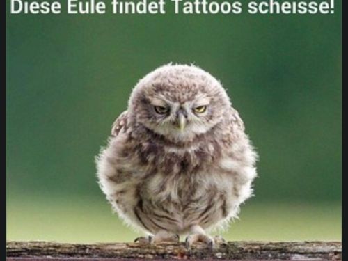 GeilerBursche