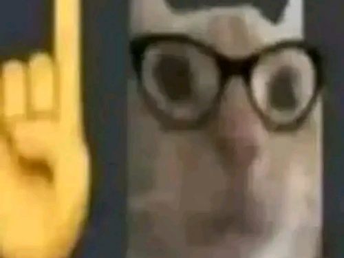 Lecockv2