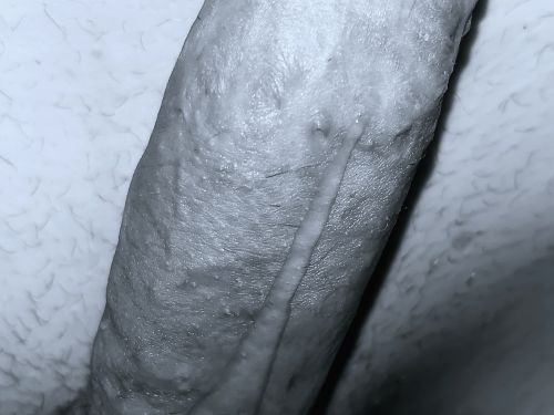 VanVaan