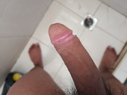 Pedro019182