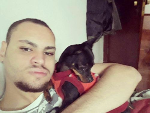 Gatoooo