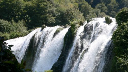 vitosif120notaSILVIATRAV