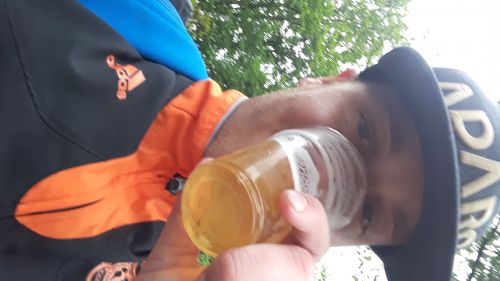 Lieshout