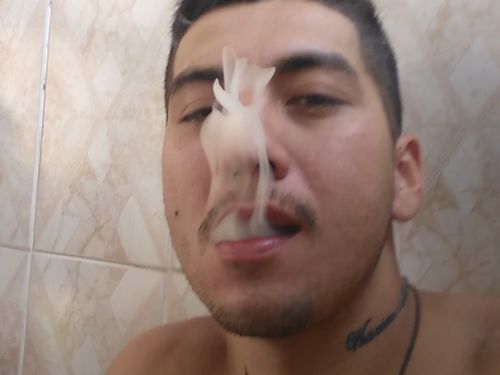 Premici