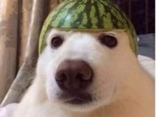 LuigiDz