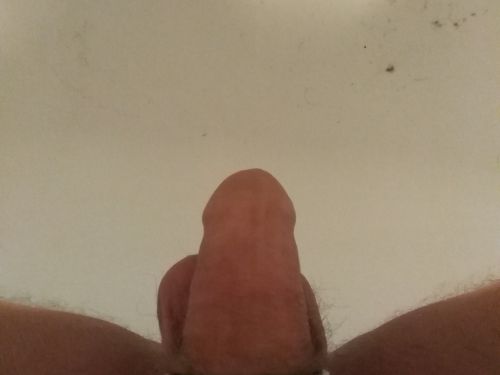 DerSexgott