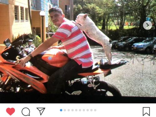 wilaontrader